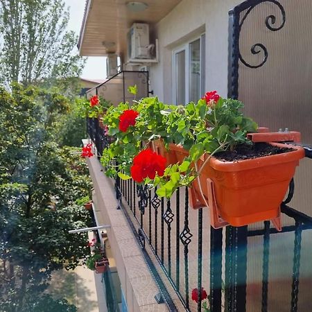 Отель Vila Magda Эфорие Норд Экстерьер фото