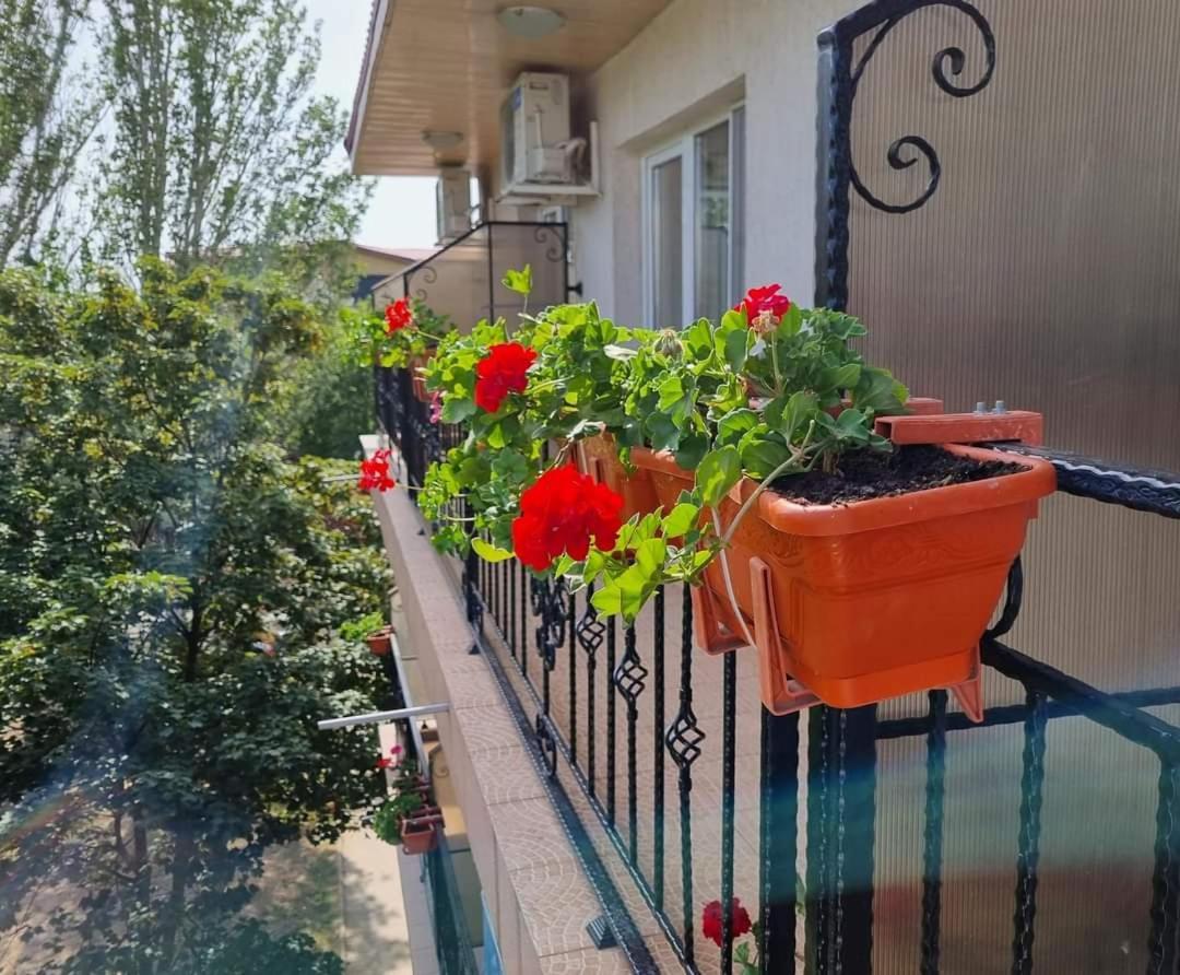 Отель Vila Magda Эфорие Норд Экстерьер фото